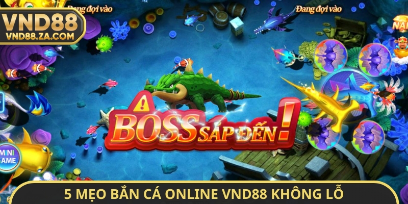 5 mẹo bắn cá online VND88 không lỗ