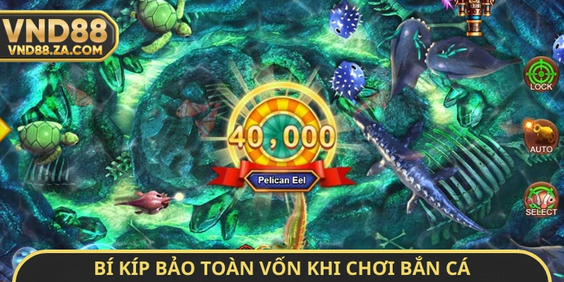 Bí kíp bảo toàn vốn khi chơi bắn cá
