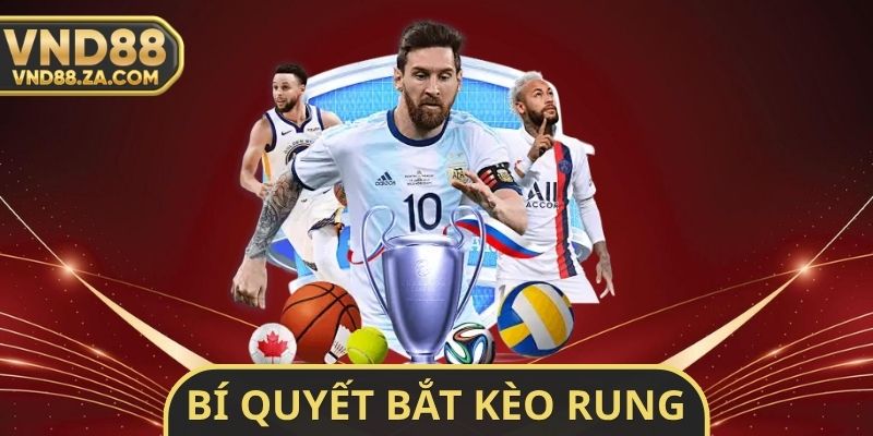 Bí Quyết Bắt Kèo Rung