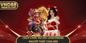 Cách Chơi Tài Xỉu Livestream Người Thật Chia Bài