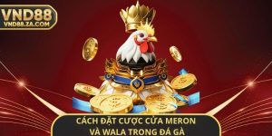 Cách Đặt Cược Cửa Meron Và Wala Trong Đá Gà