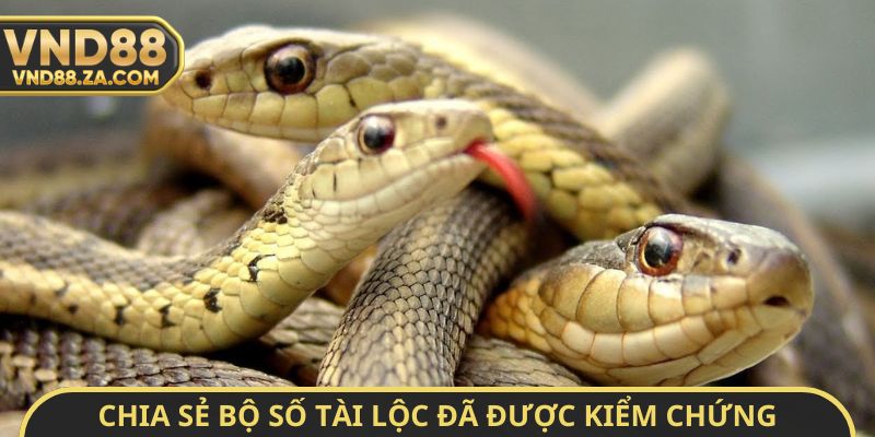 Chia sẻ bộ số tài lộc đã được kiểm chứng