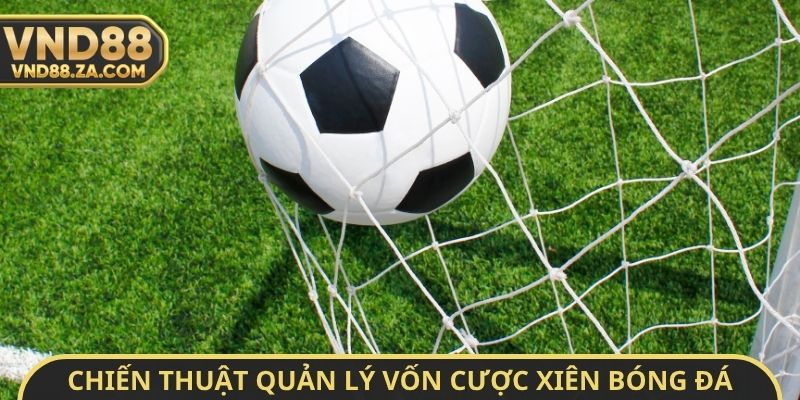 Chiến thuật quản lý vốn cược xiên bóng đá từ chuyên gia