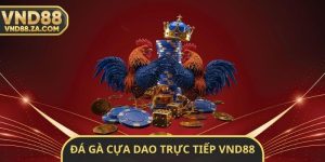 Đá Gà Cựa Dao Trực Tiếp VND88