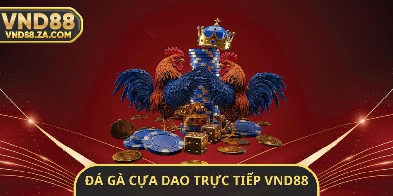 Đá Gà Cựa Dao Trực Tiếp VND88