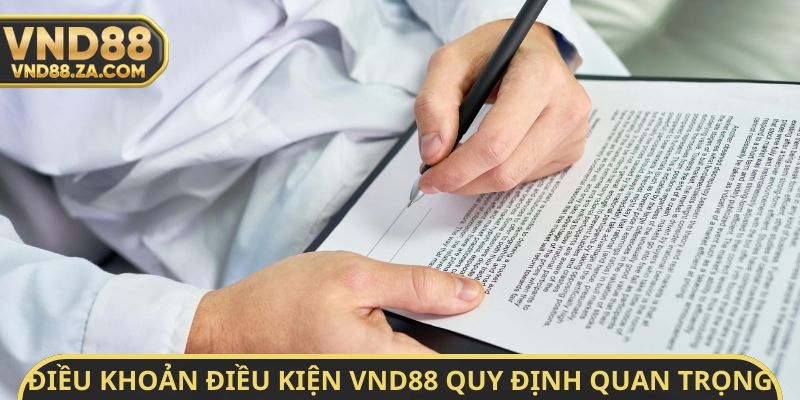 Điều khoản điều kiện VND88 quy định quan trọng