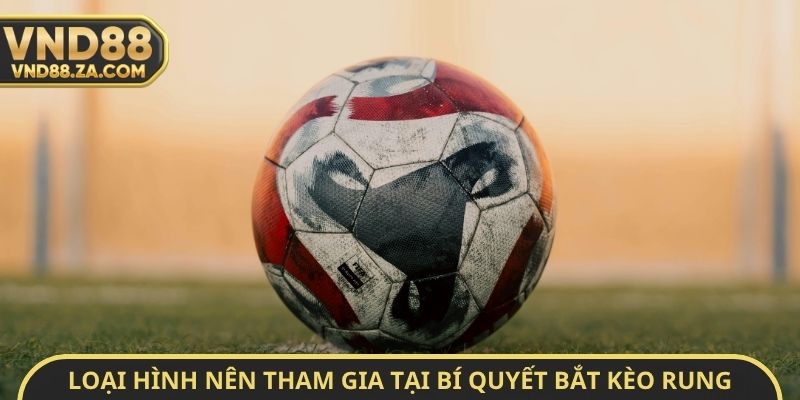Loại hình nên tham gia tại bí quyết bắt kèo rung