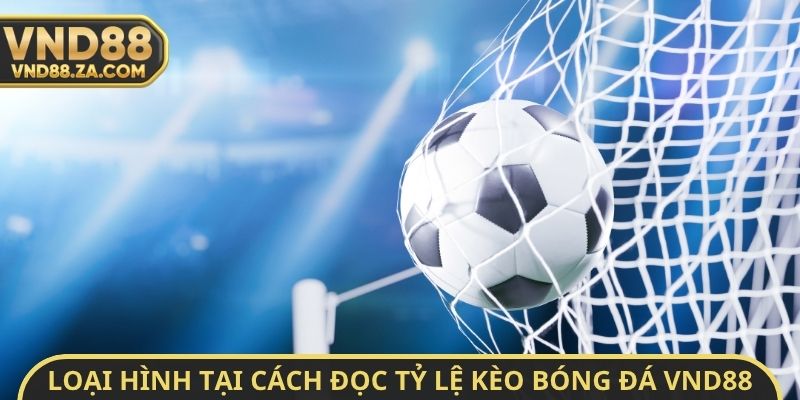 Loại hình tại cách đọc tỷ lệ kèo bóng đá VND88