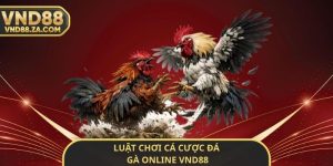 Luật Chơi Cá Cược Đá Gà Online VND88