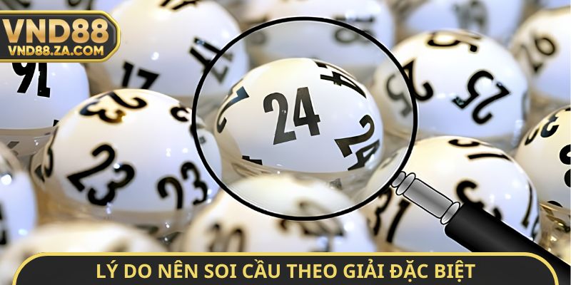 Lý do nên soi cầu theo giải đặc biệt