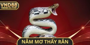 Nằm Mơ Thấy Rắn