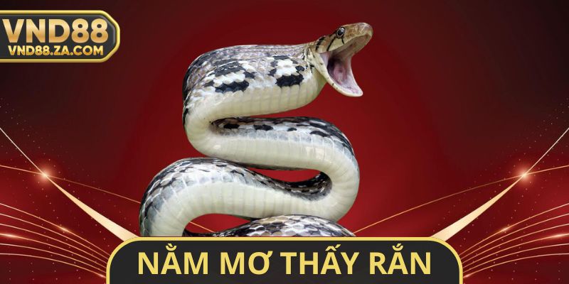 Nằm Mơ Thấy Rắn