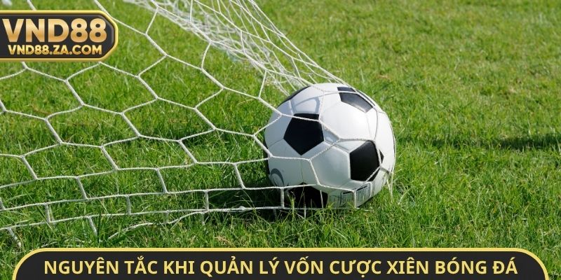 Nguyên tắc bắt buộc khi quản lý vốn cược xiên bóng đá