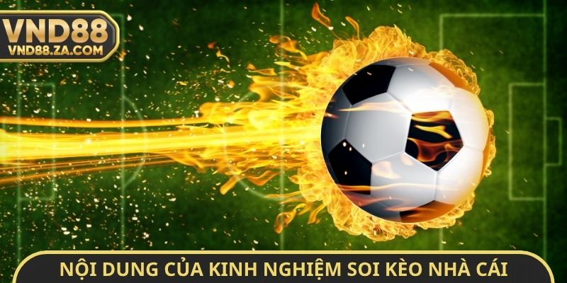 Nội dung của kinh nghiệm soi kèo nhà cái