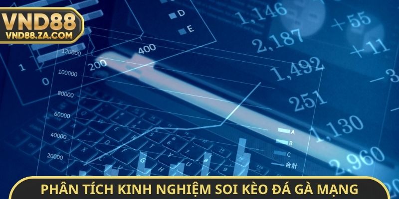 Phân tích kinh nghiệm soi kèo đá gà mạng không bao giờ thua