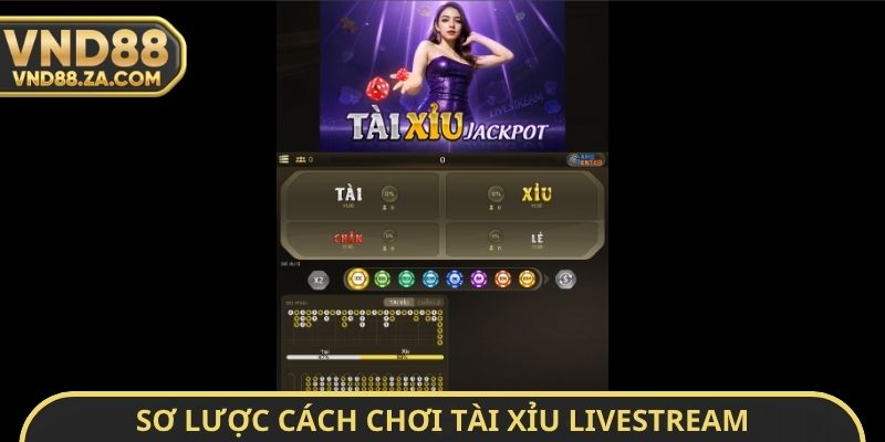 Sơ lược cách chơi tài xỉu Livestream người thật chia bài