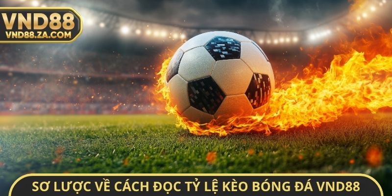 Sơ lược về cách đọc tỷ lệ kèo bóng đá VND88