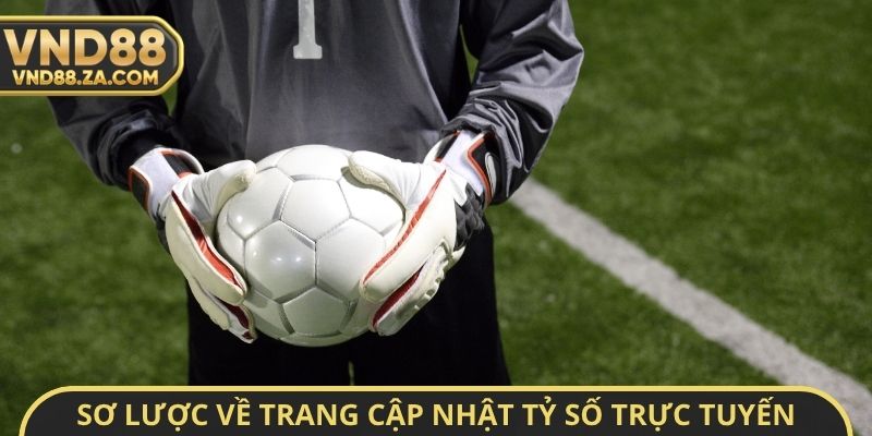 Sơ lược về trang cập nhật tỷ số trực tuyến và Livescore VND88