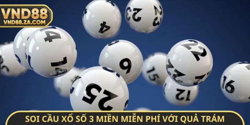 Soi cầu xổ số 3 miền miễn phí với quả trám