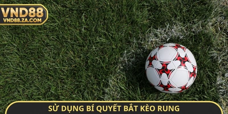 Sử dụng bí quyết bắt kèo rung