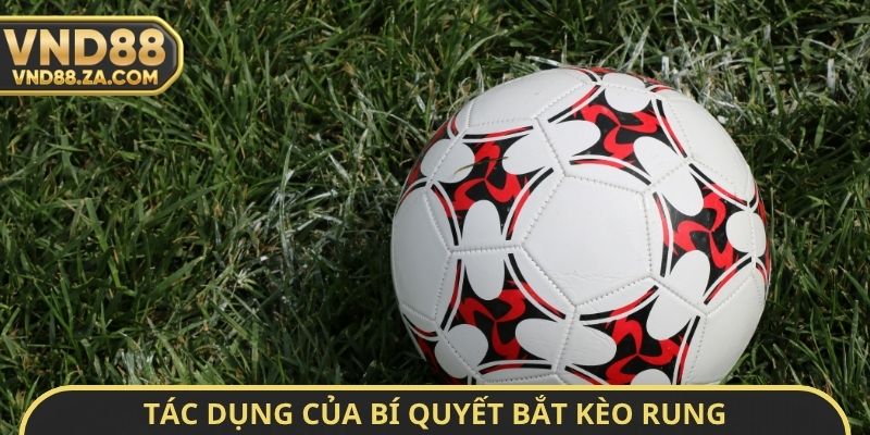 Tác dụng của bí quyết bắt kèo rung