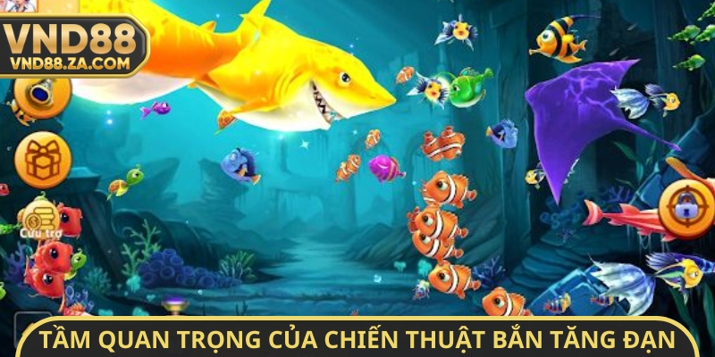 Tầm quan trọng của chiến thuật bắn tăng đạn