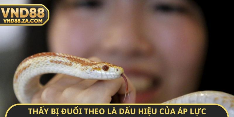 Thấy bị đuổi theo là dấu hiệu của áp lực