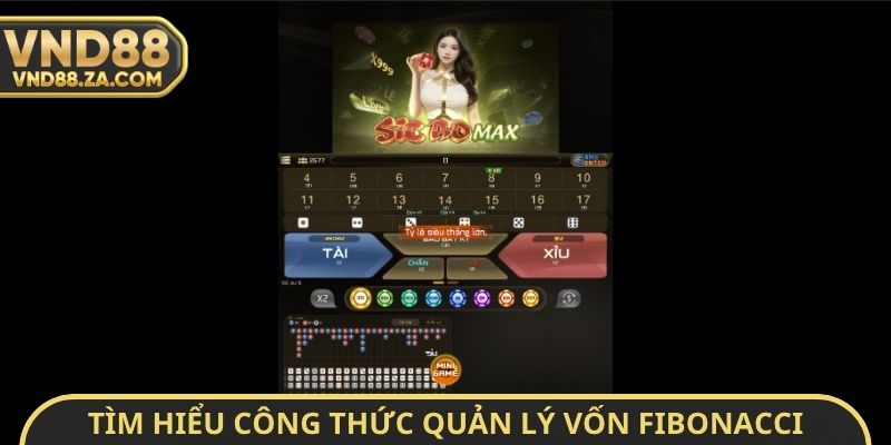Tìm hiểu công thức quản lý vốn Fibonacci khi đánh Casino