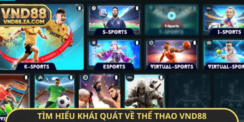 Tìm hiểu khái quát về thể thao VND88