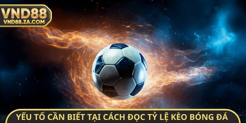 Yếu tố cần biết tại cách đọc tỷ lệ kèo bóng đá VND88